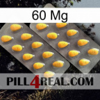 60Mg cialis2
